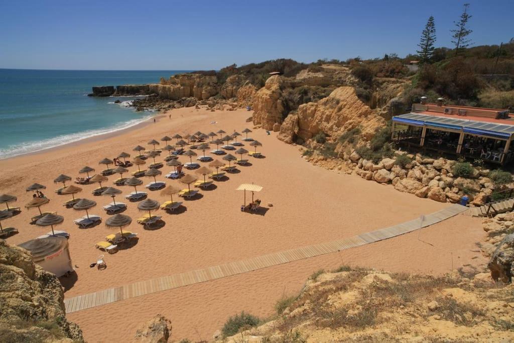 Superbe Paradis Dans Les Jardins De La Marina Appartement