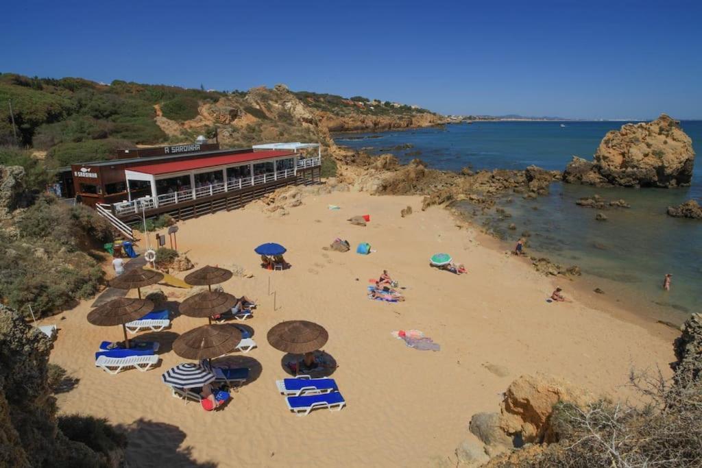 Superbe Paradis Dans Les Jardins De La Marina Appartement